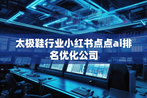 太極鞋行業(yè)小紅書點點ai排名優(yōu)化公司