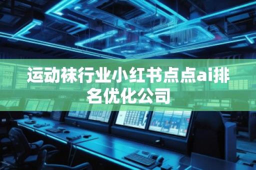 運(yùn)動襪行業(yè)小紅書點(diǎn)點(diǎn)ai排名優(yōu)化公司