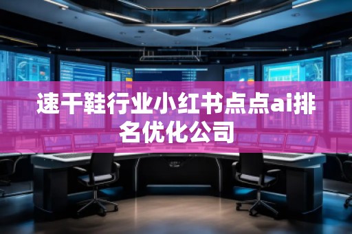速干鞋行業(yè)小紅書點(diǎn)點(diǎn)ai排名優(yōu)化公司