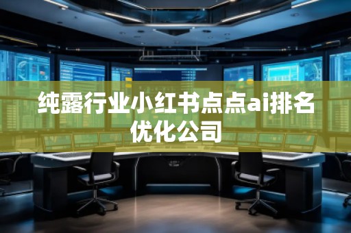 純露行業(yè)小紅書點點ai排名優(yōu)化公司