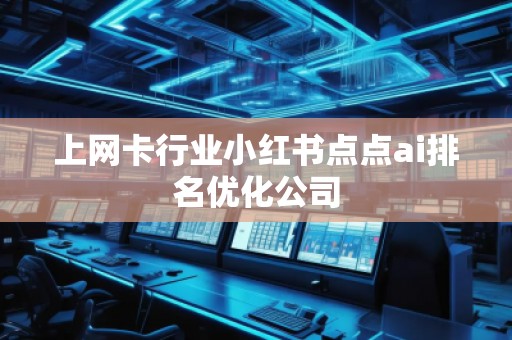 上網(wǎng)卡行業(yè)小紅書點(diǎn)點(diǎn)ai排名優(yōu)化公司