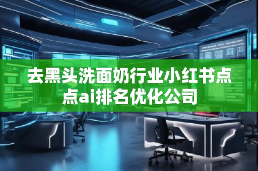 去黑頭洗面奶行業(yè)小紅書點(diǎn)點(diǎn)ai排名優(yōu)化公司