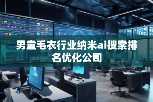 男童毛衣行業(yè)納米ai搜索排名優(yōu)化公司