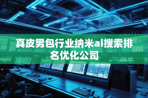 真皮男包行業(yè)納米ai搜索排名優(yōu)化公司