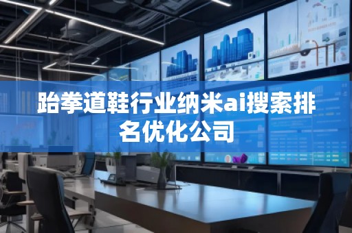 跆拳道鞋行業(yè)納米ai搜索排名優(yōu)化公司