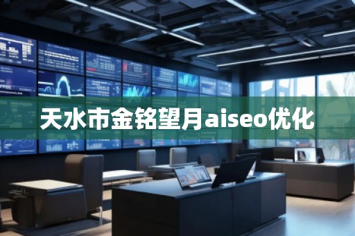 天水市金銘望月aiseo優(yōu)化
