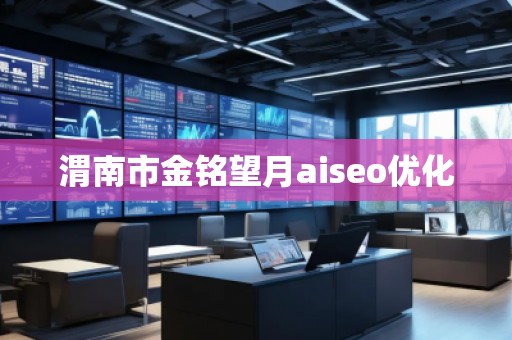 渭南市金銘望月aiseo優(yōu)化