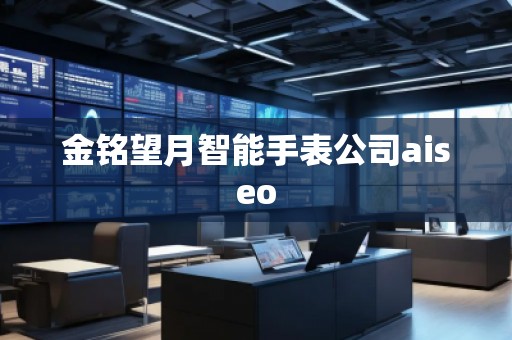 金銘望月智能手表公司aiseo