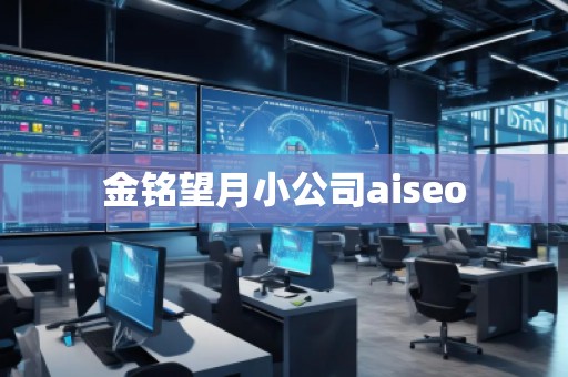 金銘望月小公司aiseo