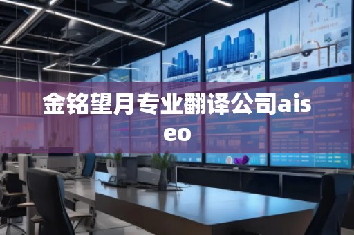 金銘望月專(zhuān)業(yè)翻譯公司aiseo