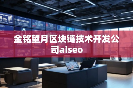 金銘望月區(qū)塊鏈技術(shù)開發(fā)公司aiseo