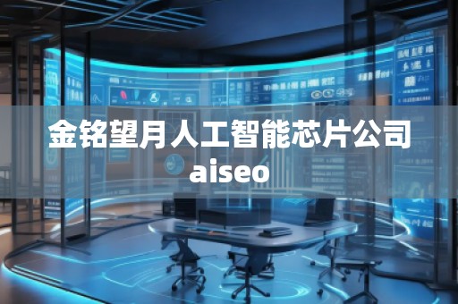 金銘望月人工智能芯片公司aiseo