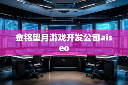 金銘望月游戲開發(fā)公司aiseo