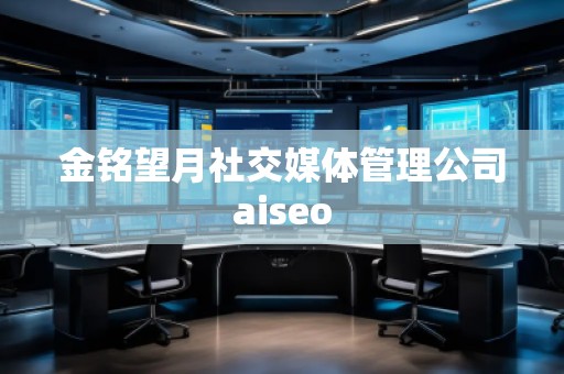 金銘望月社交媒體管理公司aiseo