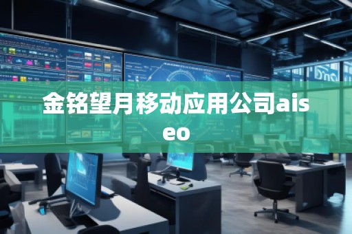 金銘望月移動(dòng)應(yīng)用公司aiseo