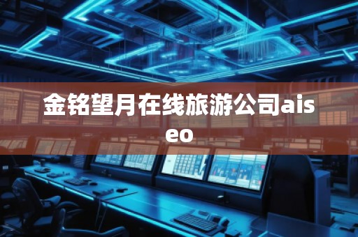 金銘望月在線旅游公司aiseo