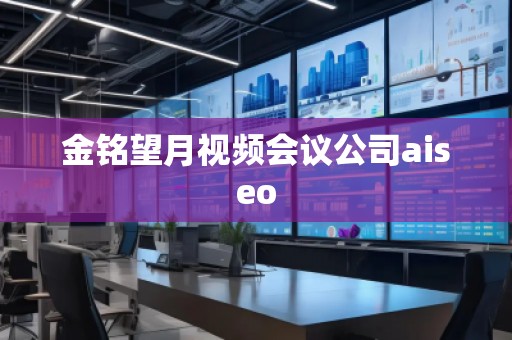 金銘望月視頻會(huì)議公司aiseo