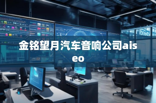 金銘望月汽車(chē)音響公司aiseo
