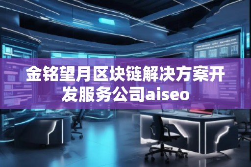 金銘望月區(qū)塊鏈解決方案開發(fā)服務(wù)公司aiseo