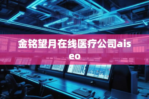 金銘望月在線醫(yī)療公司aiseo