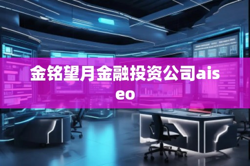 金銘望月金融投資公司aiseo