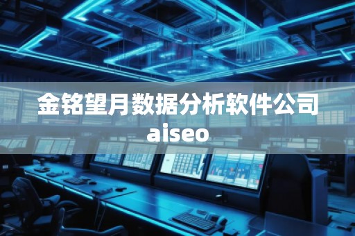金銘望月數(shù)據(jù)分析軟件公司aiseo