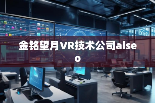 金銘望月VR技術(shù)公司aiseo