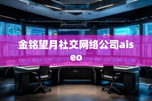 金銘望月社交網(wǎng)絡公司aiseo