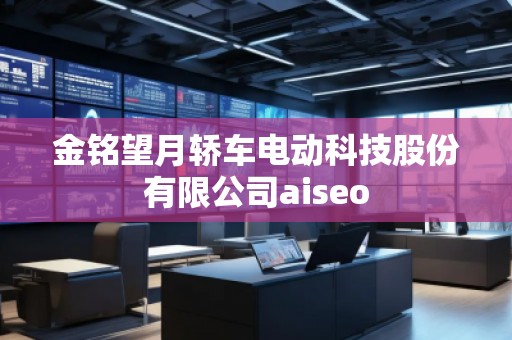 金銘望月轎車電動科技股份有限公司aiseo