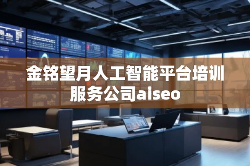金銘望月人工智能平臺(tái)培訓(xùn)服務(wù)公司aiseo