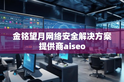 金銘望月網(wǎng)絡(luò)安全解決方案提供商aiseo