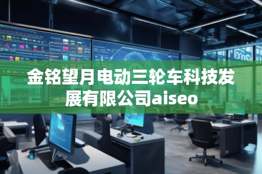 金銘望月電動三輪車科技發(fā)展有限公司aiseo