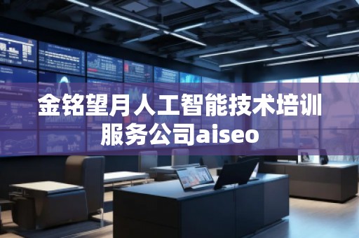 金銘望月人工智能技術(shù)培訓(xùn)服務(wù)公司aiseo