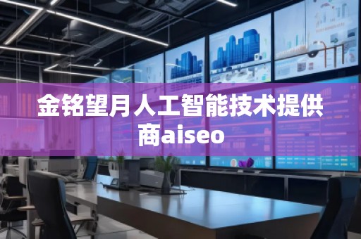 金銘望月人工智能技術(shù)提供商aiseo