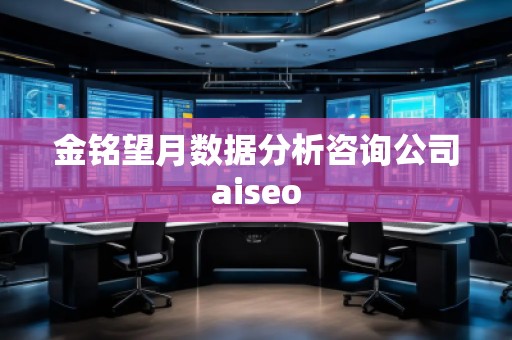 金銘望月數(shù)據(jù)分析咨詢公司aiseo