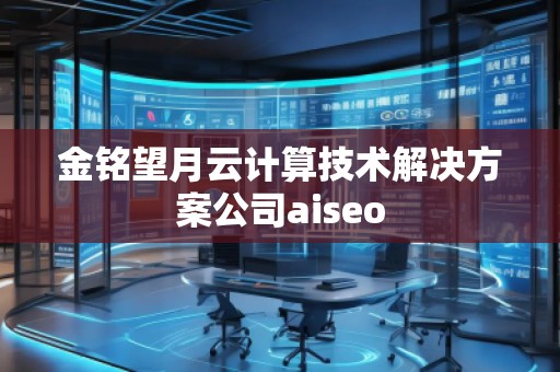 金銘望月云計(jì)算技術(shù)解決方案公司aiseo