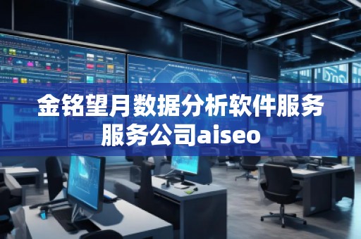 金銘望月數(shù)據(jù)分析軟件服務(wù)服務(wù)公司aiseo