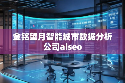 金銘望月智能城市數(shù)據(jù)分析公司aiseo
