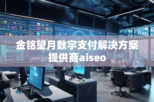 金銘望月數(shù)字支付解決方案提供商aiseo