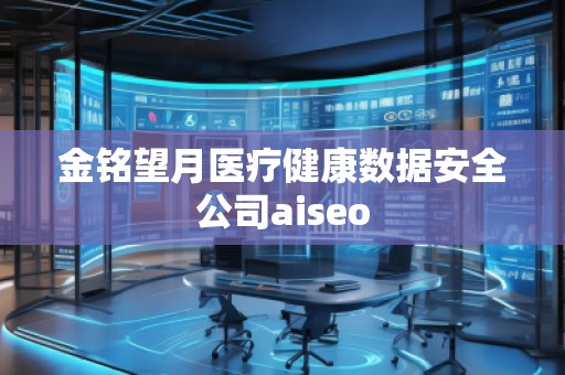 金銘望月醫(yī)療健康數(shù)據(jù)安全公司aiseo