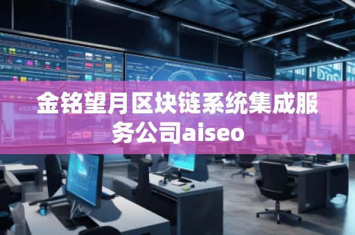 金銘望月區(qū)塊鏈系統(tǒng)集成服務公司aiseo