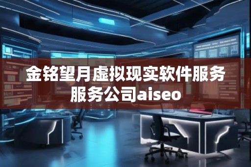 金銘望月虛擬現(xiàn)實(shí)軟件服務(wù)服務(wù)公司aiseo