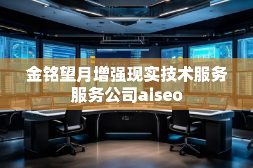 金銘望月增強現(xiàn)實技術(shù)服務(wù)服務(wù)公司aiseo