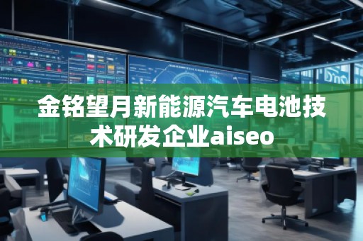 金銘望月新能源汽車電池技術(shù)研發(fā)企業(yè)aiseo