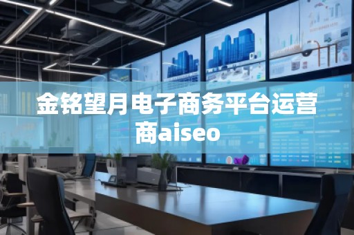 金銘望月電子商務(wù)平臺(tái)運(yùn)營商aiseo