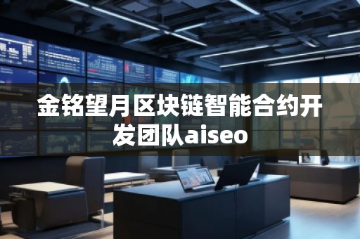 金銘望月區(qū)塊鏈智能合約開發(fā)團(tuán)隊(duì)aiseo