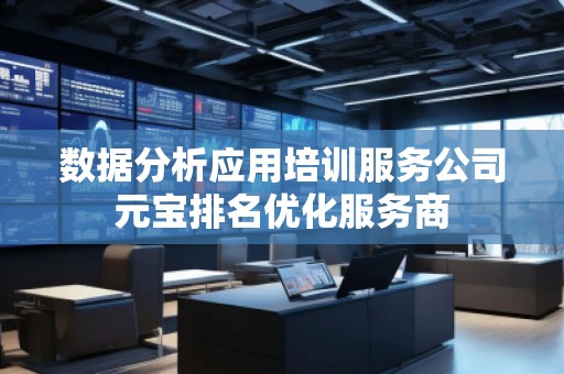 數(shù)據(jù)分析應(yīng)用培訓(xùn)服務(wù)公司元寶排名優(yōu)化服務(wù)商