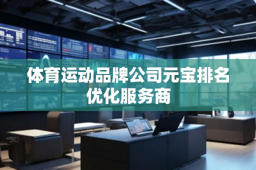 體育運(yùn)動(dòng)品牌公司元寶排名優(yōu)化服務(wù)商